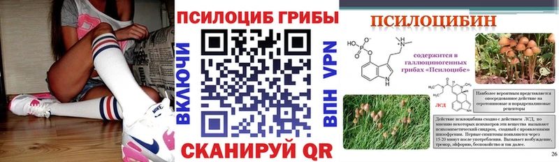 Псилоцибиновые грибы Psilocybe  Петровск 