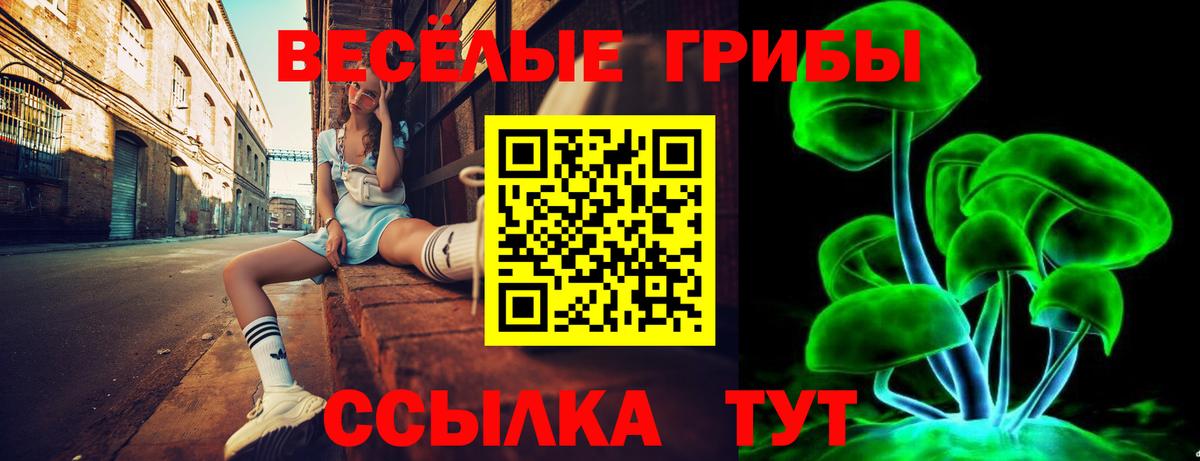 Галлюциногенные грибы MAGIC MUSHROOMS  Вход с VPN  Петровск  Псилоцибиновые грибы ЛСД 