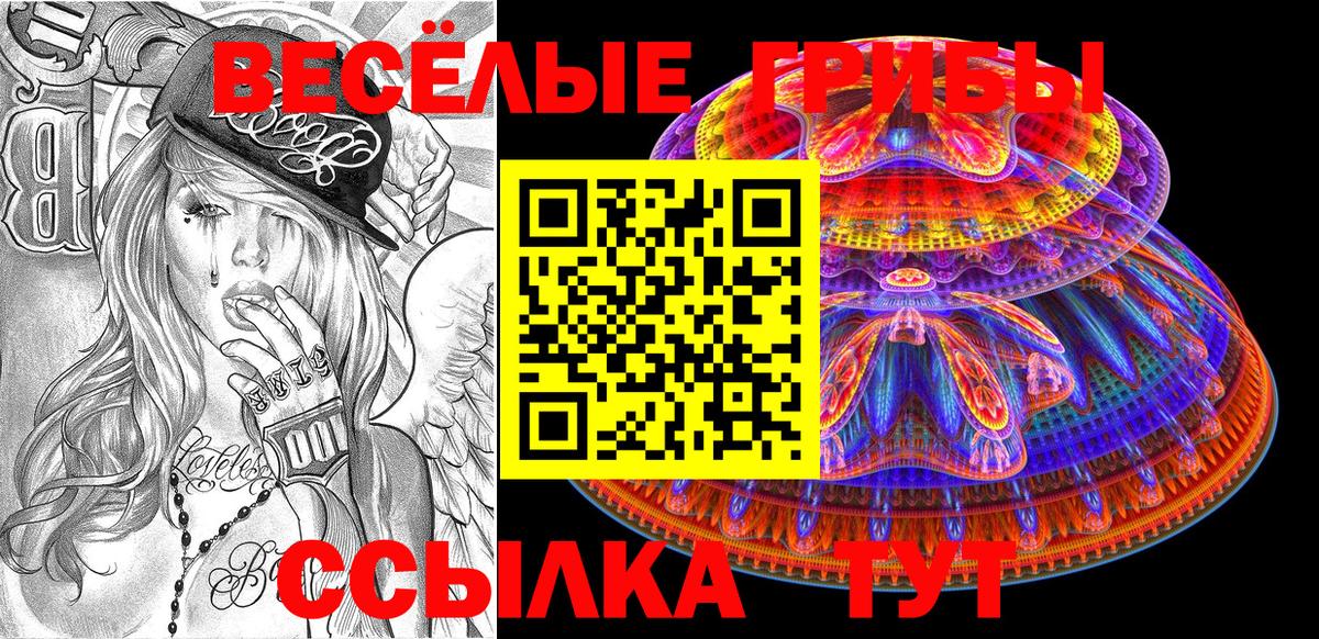 Псилоцибиновые грибы прущие грибы Петровск